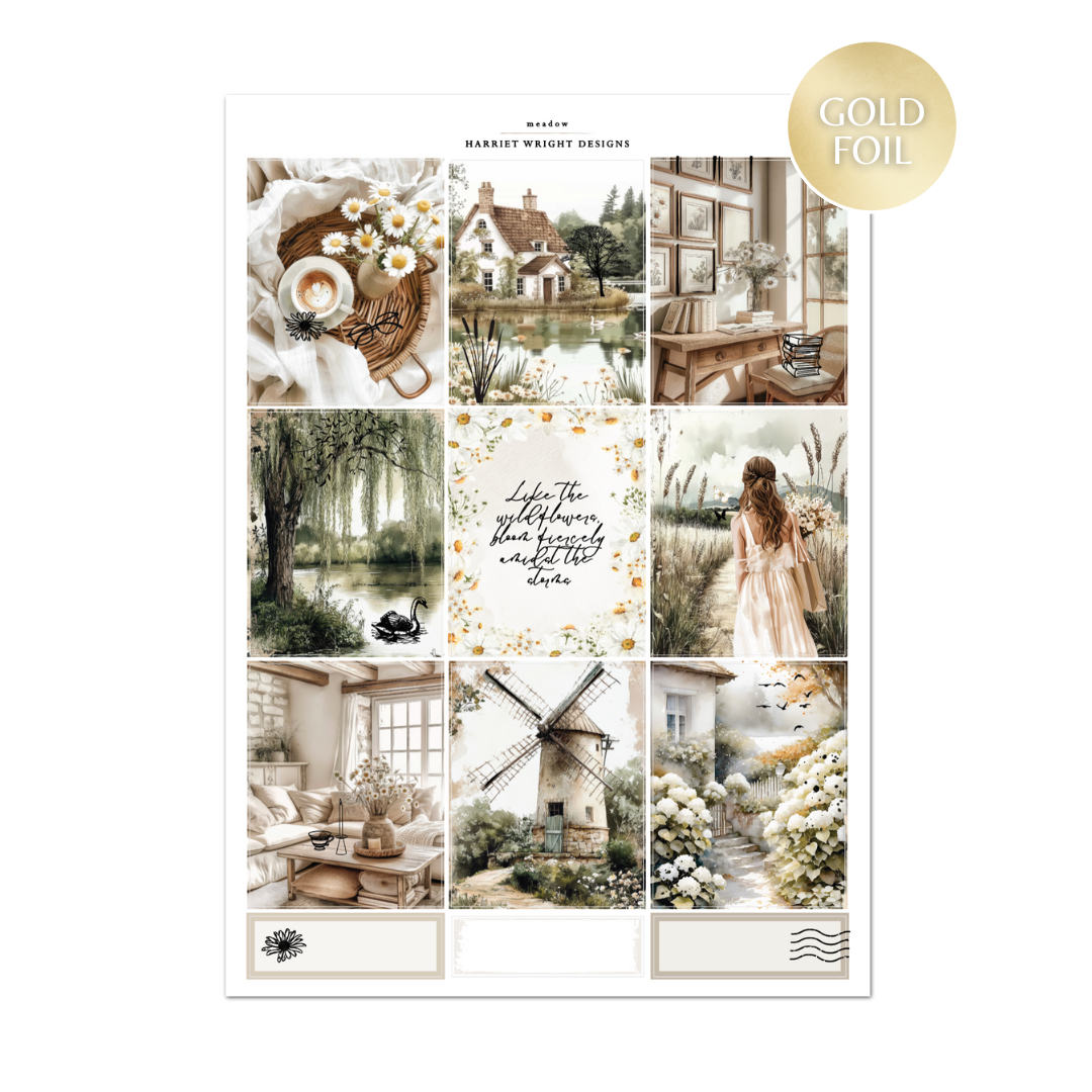 Meadow | Weekly Kit