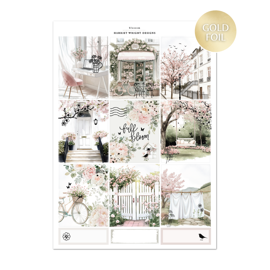 Blossom | Weekly Kit