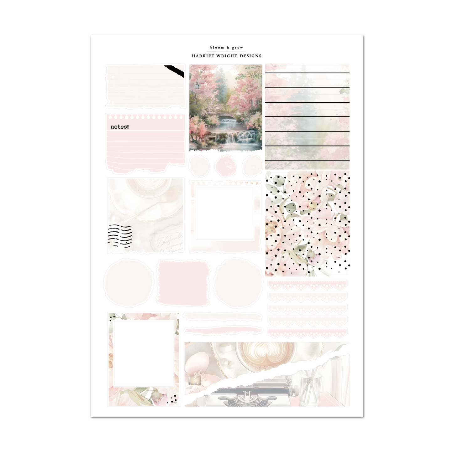 Bloom & Grow | Weekly Kit