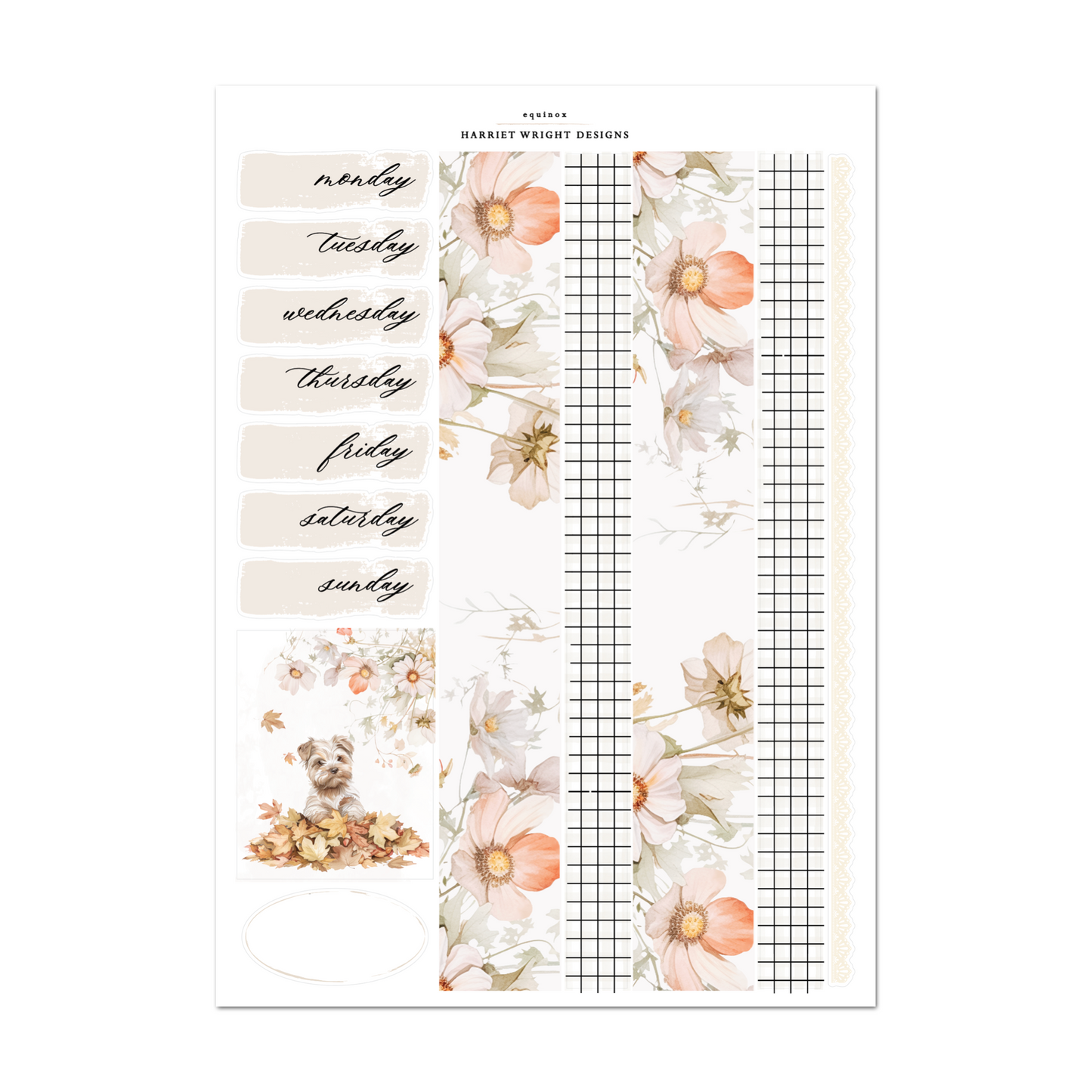 Equinox | Weekly Kit
