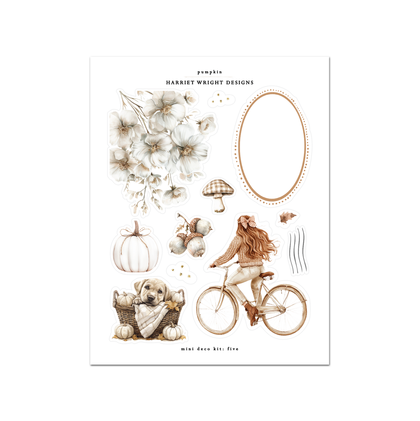 NEW: Pumpkin | Mini Decorative Kit