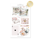 February | Decorative Collection