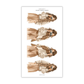 Fashion Girl 31 | Sticker Sheet