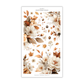 September 2026 | Decorative Collection