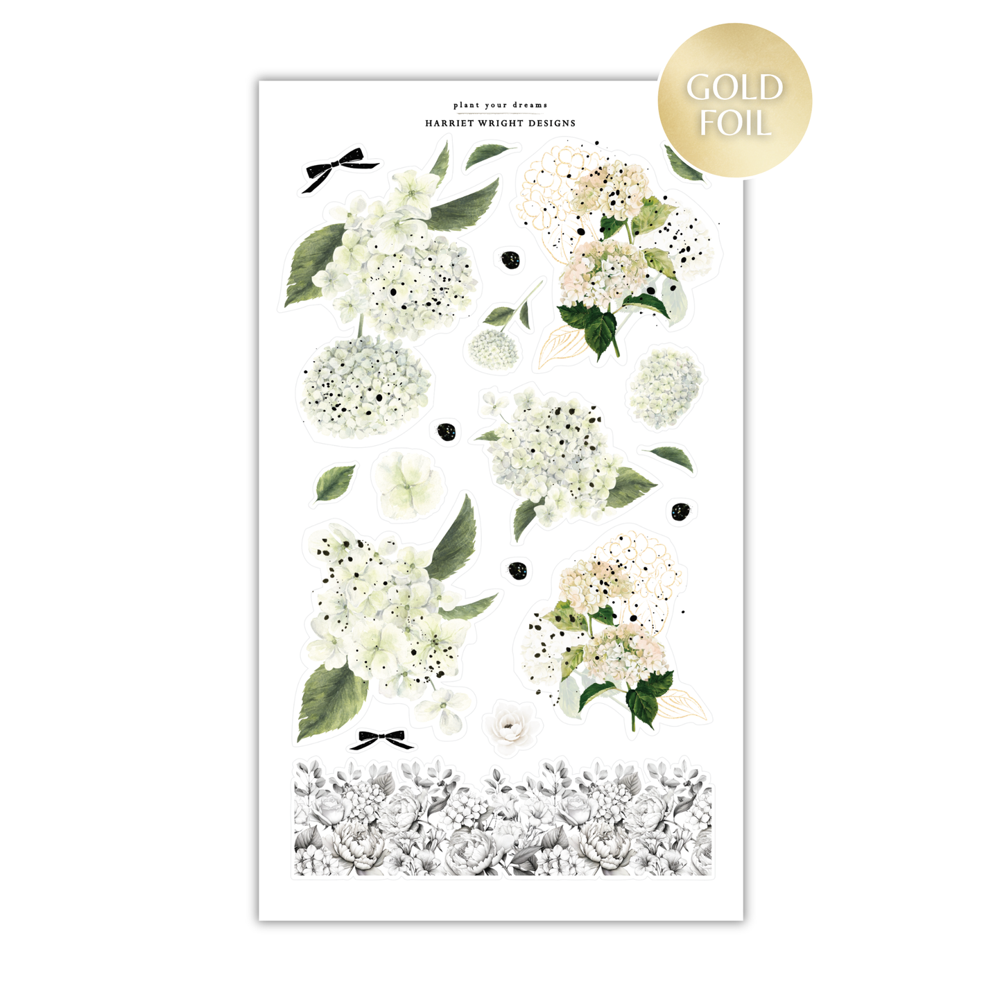 Plant Your Dreams | Decorative Collection