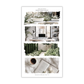 Plant Your Dreams | Decorative Collection