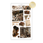 October 2026 | Decorative Collection