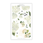 Plant Your Dreams | Decorative Collection