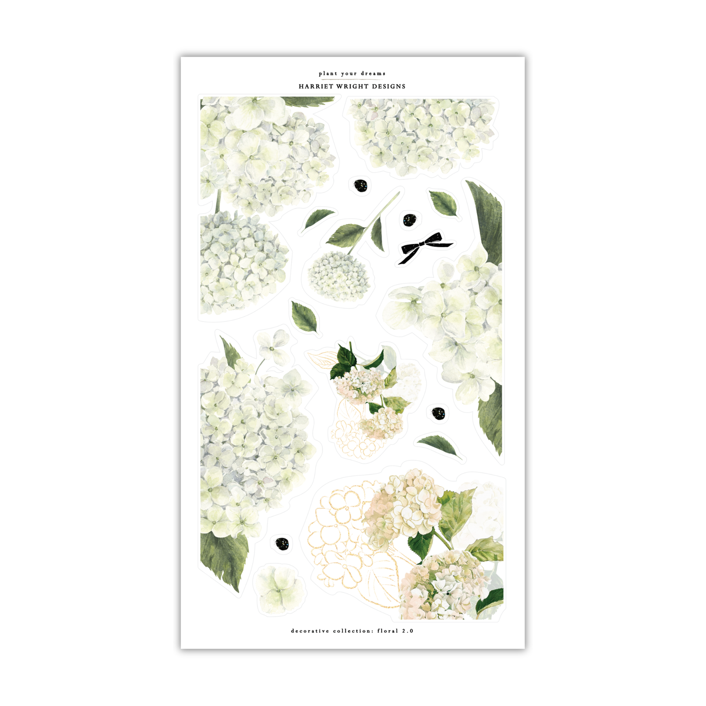 Plant Your Dreams | Decorative Collection