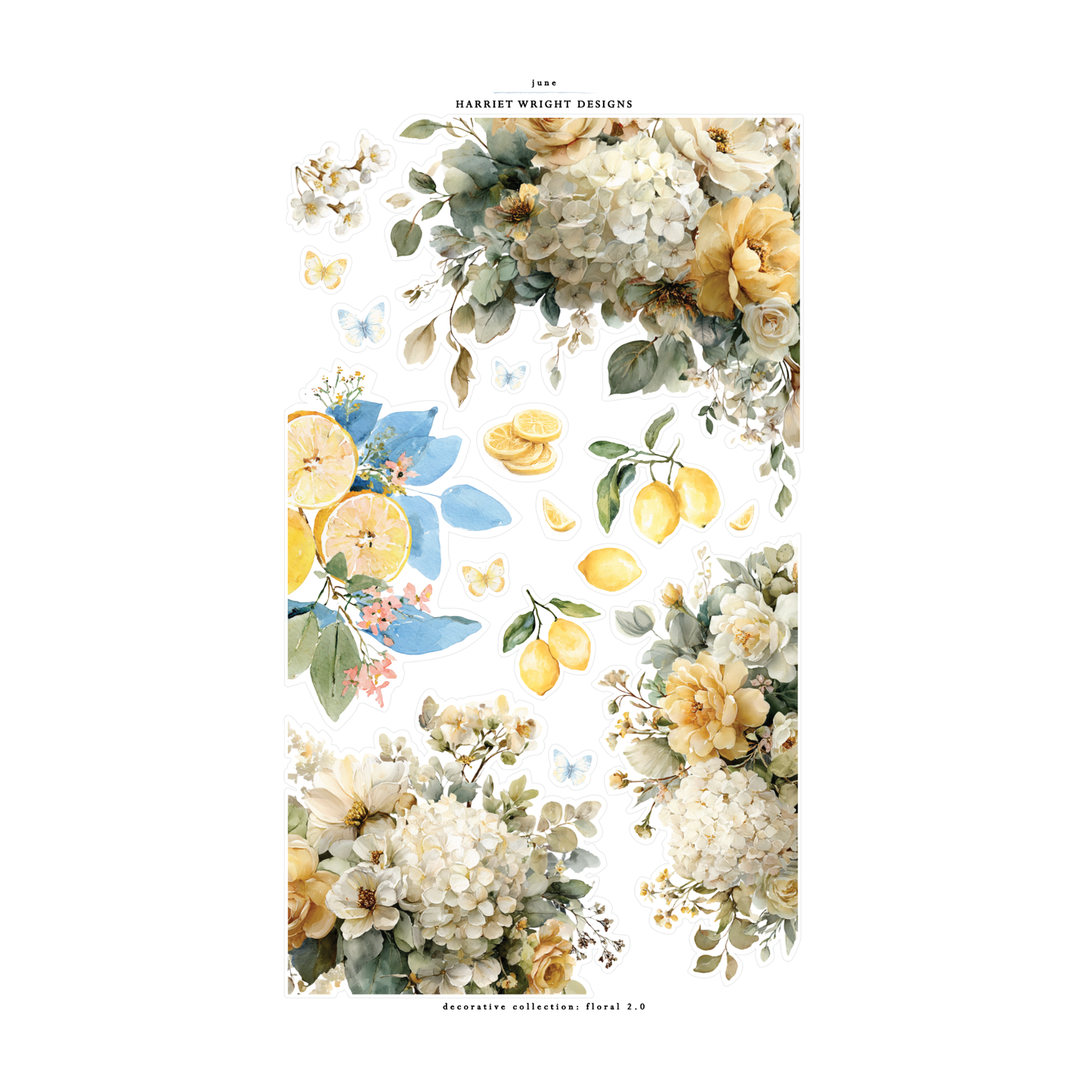 June 2026 | Decorative Collection