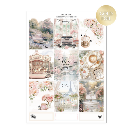 Bloom & Grow | Weekly Kit