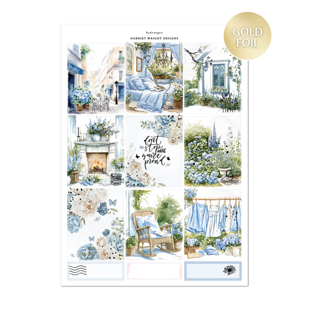 Hydrangea | Weekly Kit