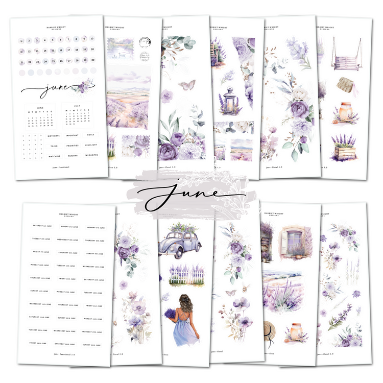 June || Decorative Collection (12 Sheets)