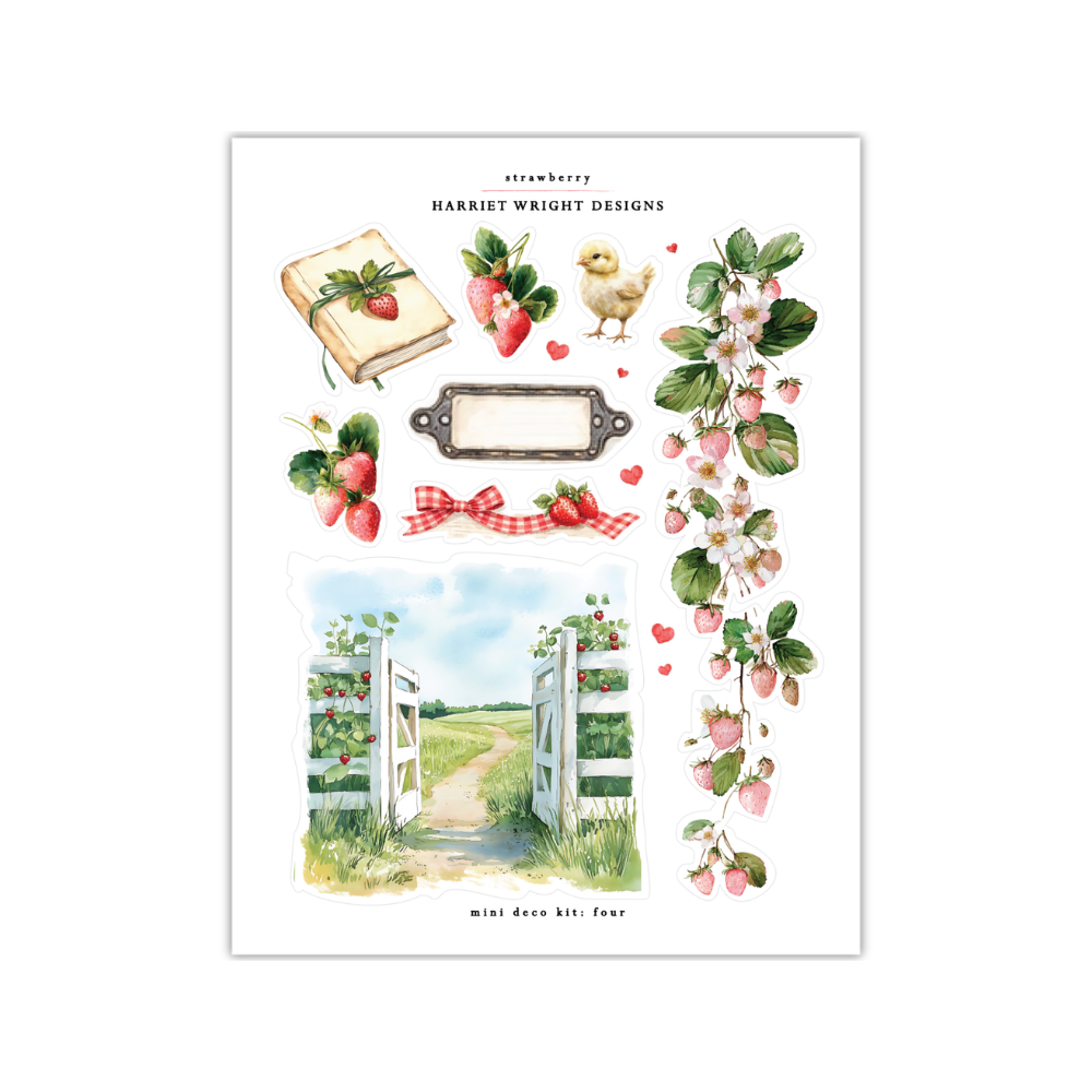 Strawberry | Mini Decorative Kit