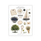 Summer in the City | Mini Decorative Kit