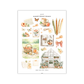 Peach | Mini Decorative Kit