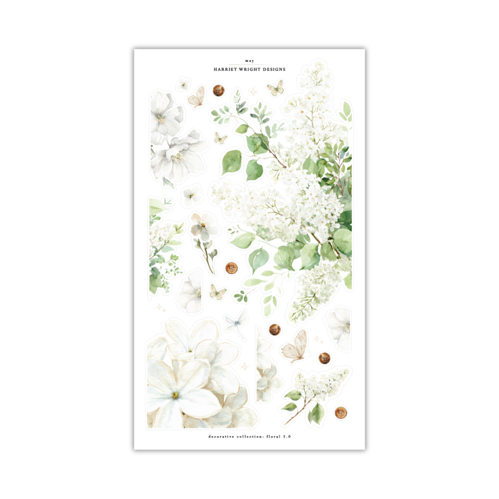 May 2026 | Decorative Collection