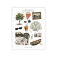 Summer in the City | Mini Decorative Kit
