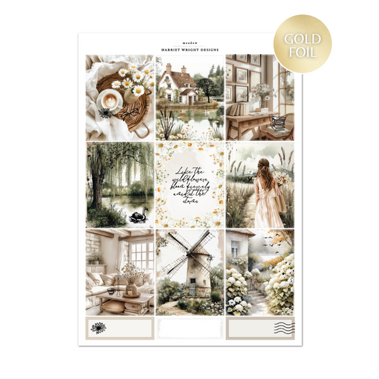 Meadow | Weekly Kit