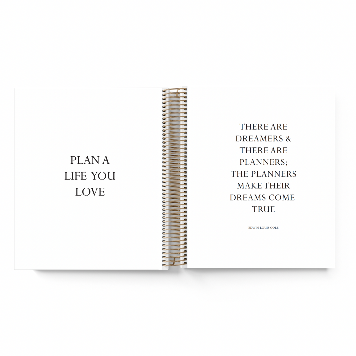 Write it Down || A5 Wide Vertical Planner (2025)