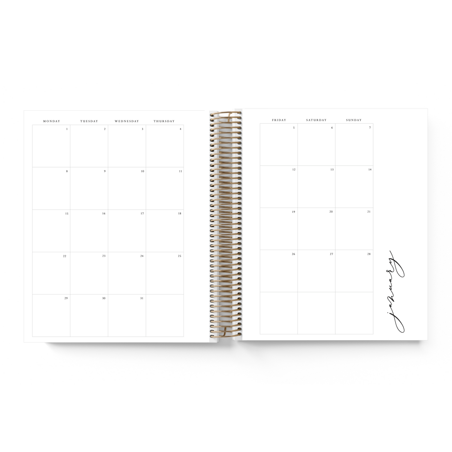 DATED B6 Vertical Planner || LAST CHANCE