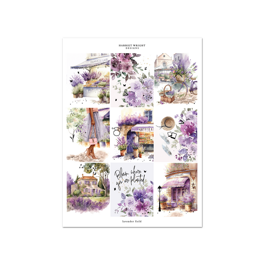 Lavender Field | Weekly Kit