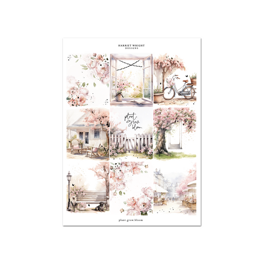 Plant. Grow. Bloom | Weekly Kit