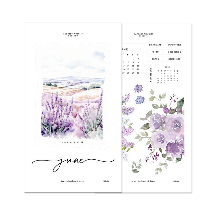 Dashboard Deco Collection | June