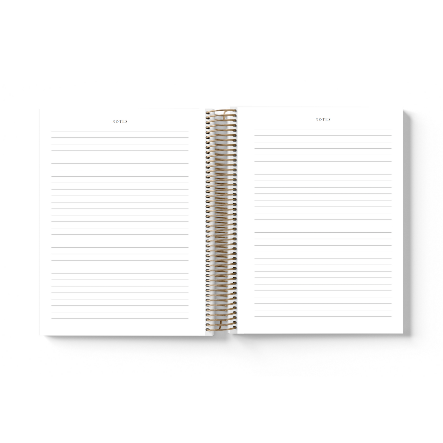 Daisy Meadow || A5 Daily & Weekly Planner