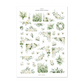 Elegance | Floral Elements