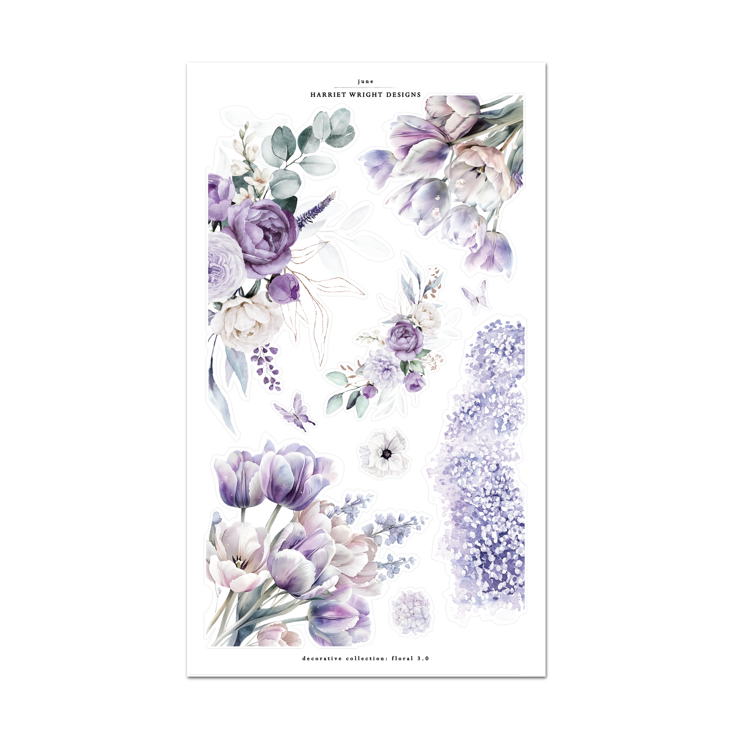 June | Decorative Collection