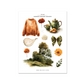 NEW: Change | Mini Decorative Kit