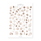 Golden Hour | Floral Elements